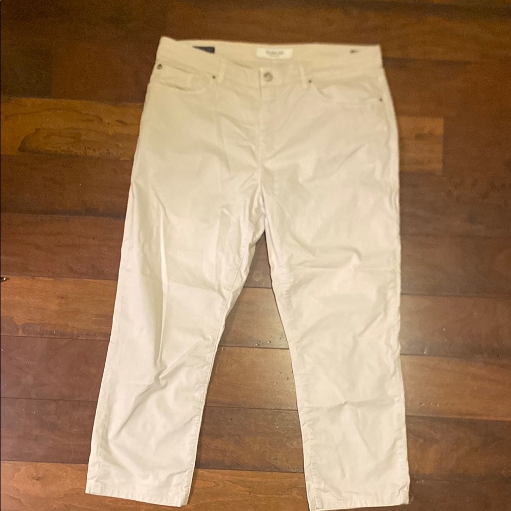 (5) pairs of Teleria Zed Dress/Business Casual Pants